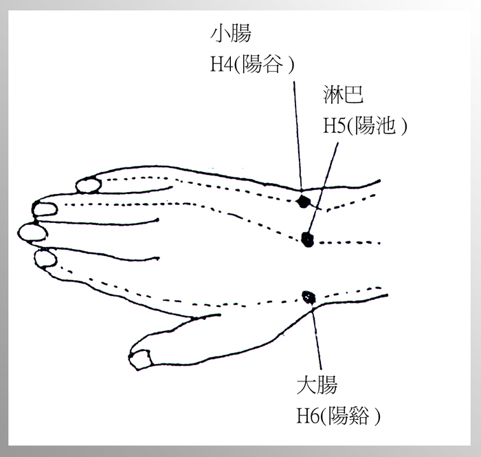 圖片說明