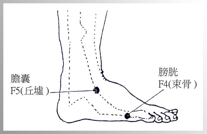 日本良導絡之測點